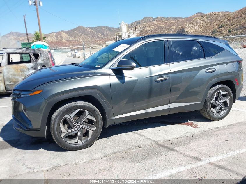 2023 Hyundai Tucson Limited VIN: 5NMJECAE2PH207775 Lot: 40114113