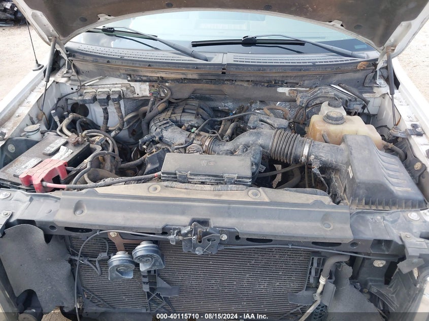 2013 Ford F-150 Xl VIN: 1FTEX1EM8DFB84366 Lot: 40115710