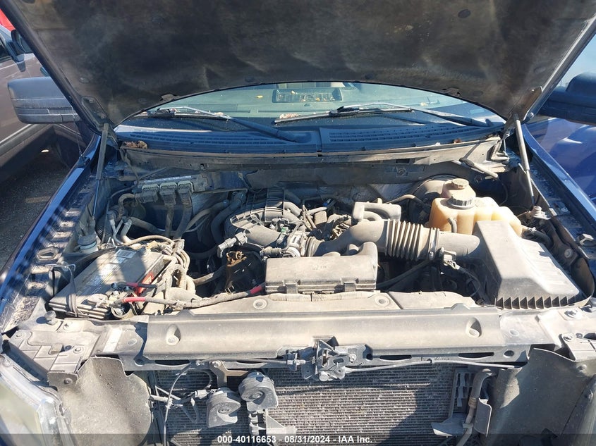 2011 Ford F-150 Xlt VIN: 1FTEW1CM8BKD10042 Lot: 40116653