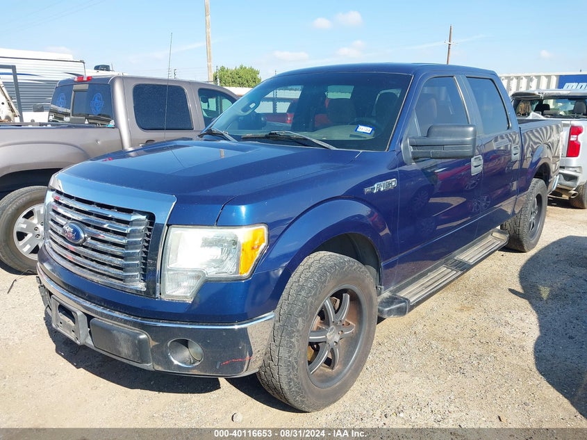 2011 Ford F-150 Xlt VIN: 1FTEW1CM8BKD10042 Lot: 40116653