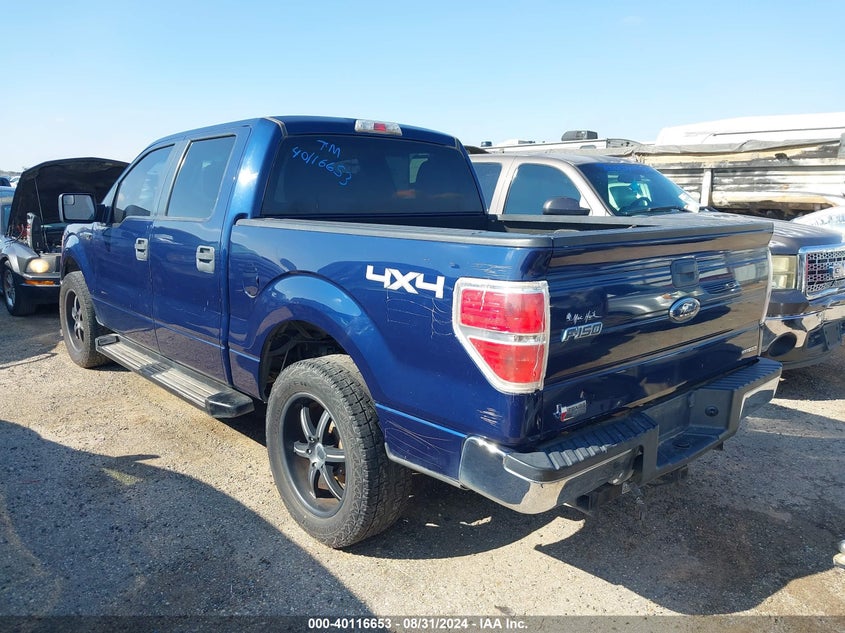 2011 Ford F-150 Xlt VIN: 1FTEW1CM8BKD10042 Lot: 40116653