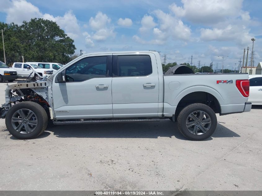 2023 Ford F-150 Xlt VIN: 1FTFW1ED8PFC74953 Lot: 40119194