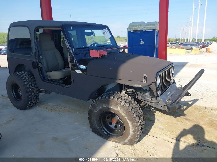 2003 Jeep Wrangler Sahara VIN: 1J4FA59S03P367544 Lot: 40535181