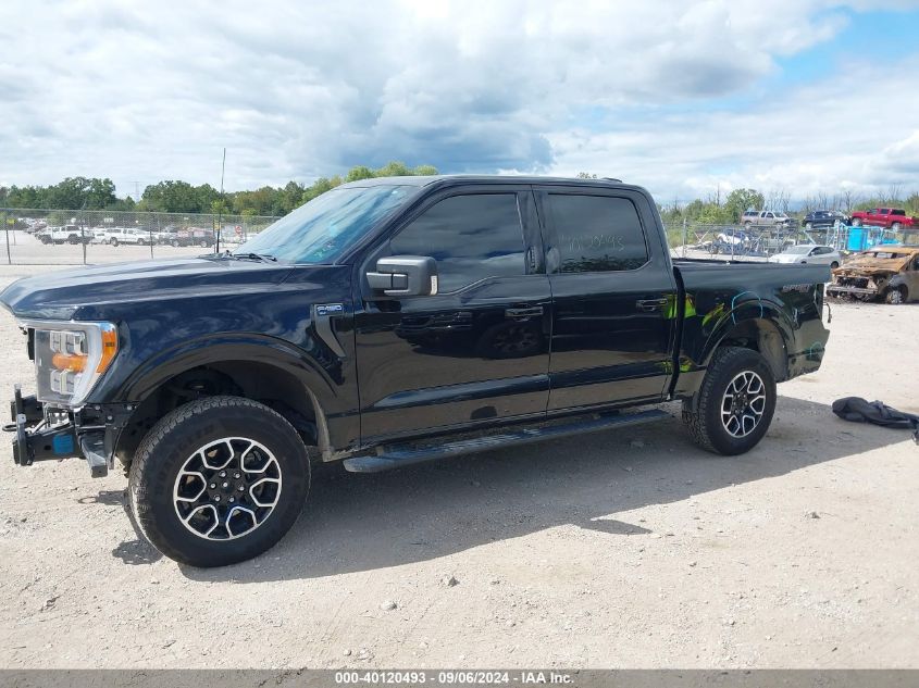 2022 FORD F-150 XLT - 1FTFW1E89NKE44003