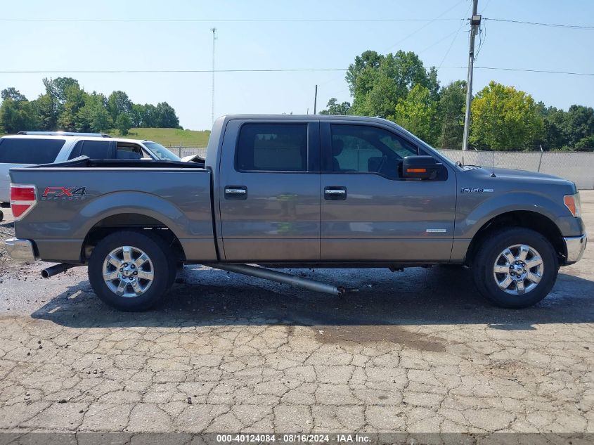 2013 FORD F-150 XLT - 1FTFW1ET5DKG24033