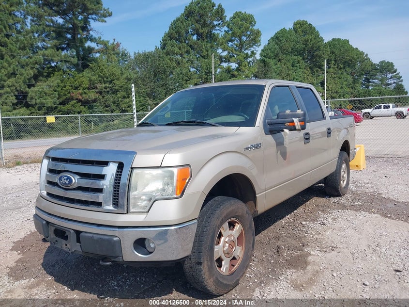 2010 Ford F-150 Fx4/Harley-Davidson/King Ranch/Lariat/Platinum/Xl/Xlt VIN: 1FTFW1EV5AFC43949 Lot: 40126500