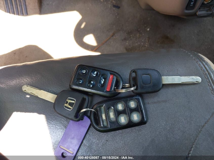 2009 Honda Odyssey Ex-L VIN: 5FNRL38769B049090 Lot: 40128087