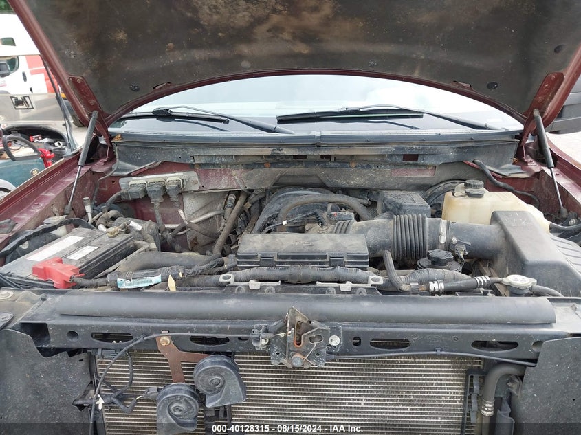 2009 Ford F-150 Stx/Xlt VIN: 1FTRX04819KB65737 Lot: 40128315