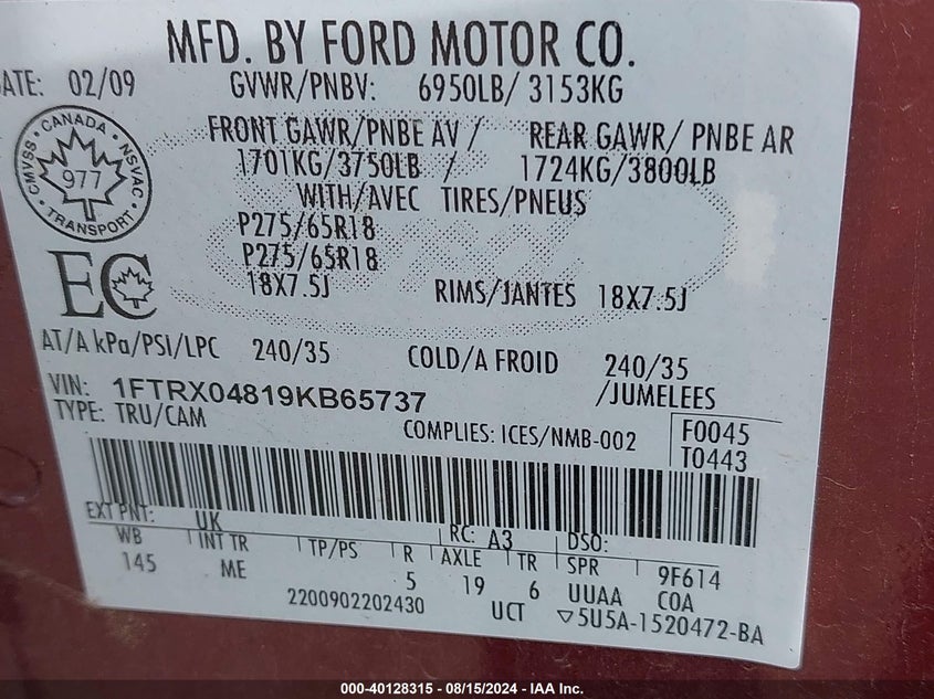 2009 Ford F-150 Stx/Xlt VIN: 1FTRX04819KB65737 Lot: 40128315