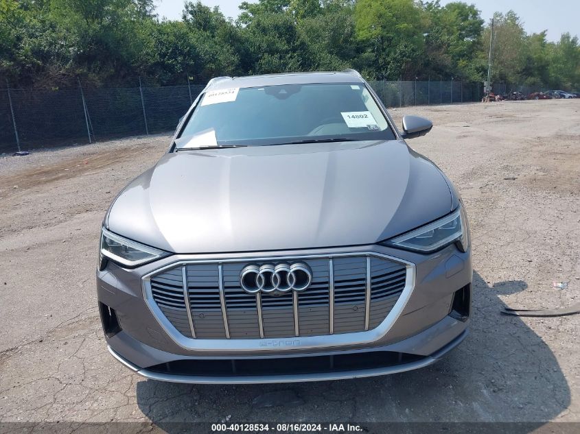 2019 Audi E-Tron Premium Plus VIN: WA1LAAGE7KB011189 Lot: 40128534