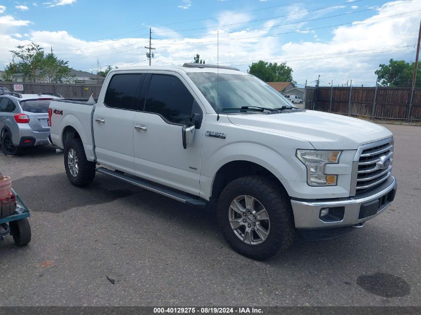 2016 FORD F-150 XLT - 1FTEW1EG1GFA45312