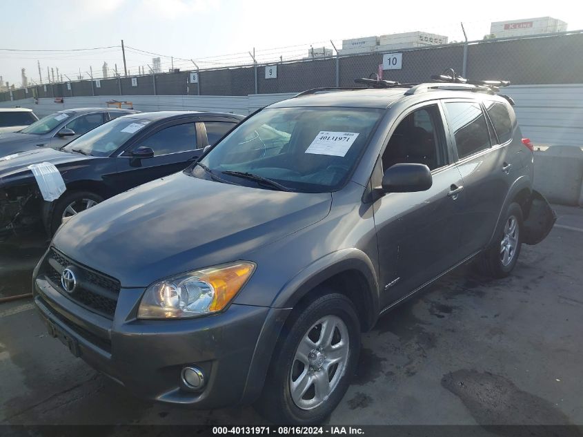 2010 Toyota Rav4 VIN: JCMWF4DVVAD019685 Lot: 40131971