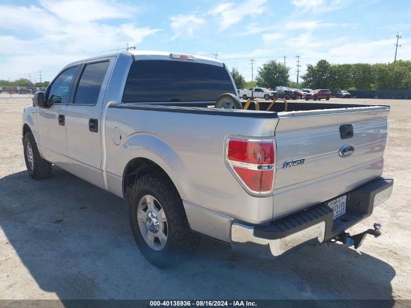 2013 FORD F-150 XLT - 1FTEW1CM0DFB19498