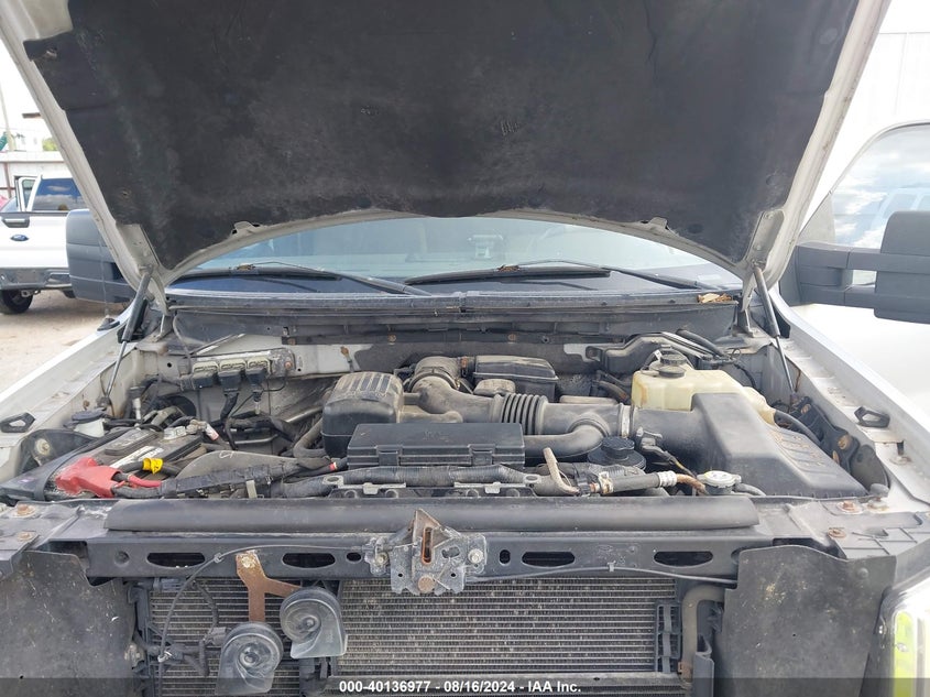 2010 Ford F-150 Fx4/Lariat/Xl/Xlt VIN: 1FTFX1EV7AFB11434 Lot: 40136977