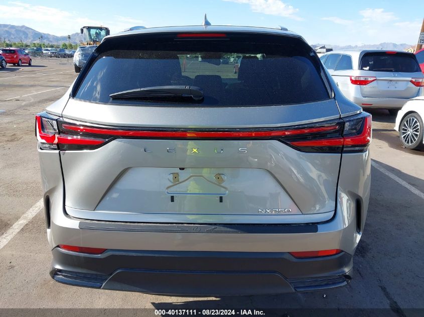 VIN 2T2ADCAZ9RC007938 2024 Lexus NX 250 no.16