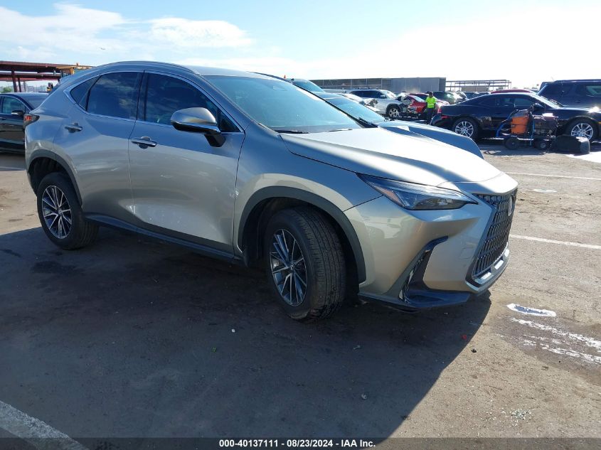 2024 Lexus NX 250