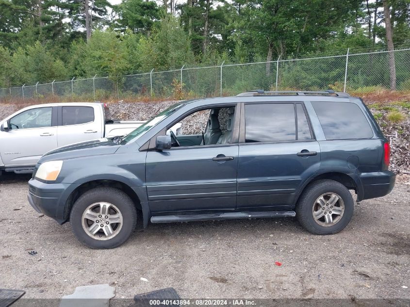 2005 Honda Pilot Exl VIN: 5FNYF18615B031329 Lot: 40143894