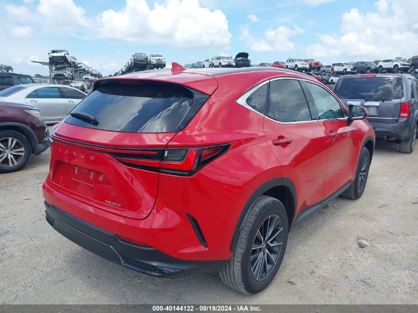 VIN 2T2GDCAZ1RC006308 2024 Lexus NX 250, Premium no.4