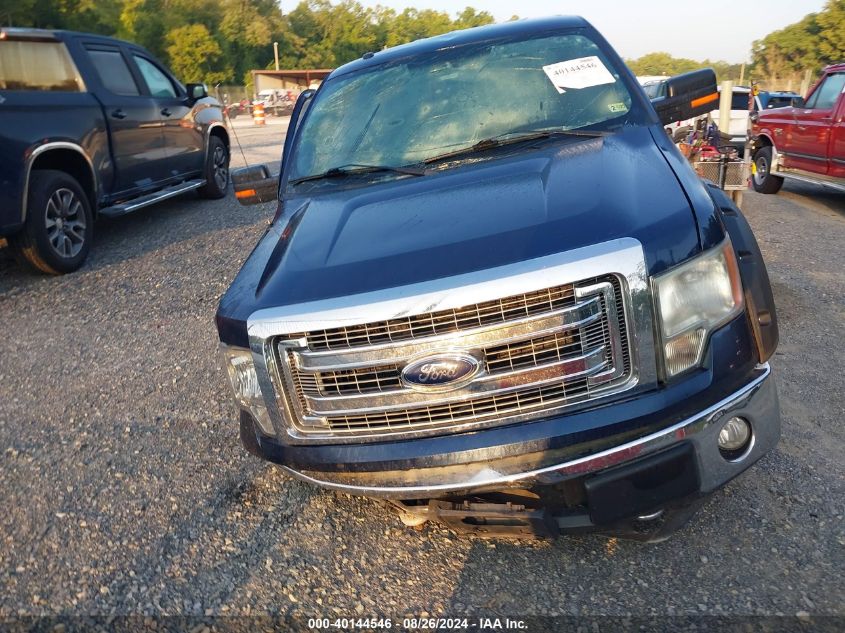 2013 FORD F-150 XLT - 1FTFX1EF3DFB89349