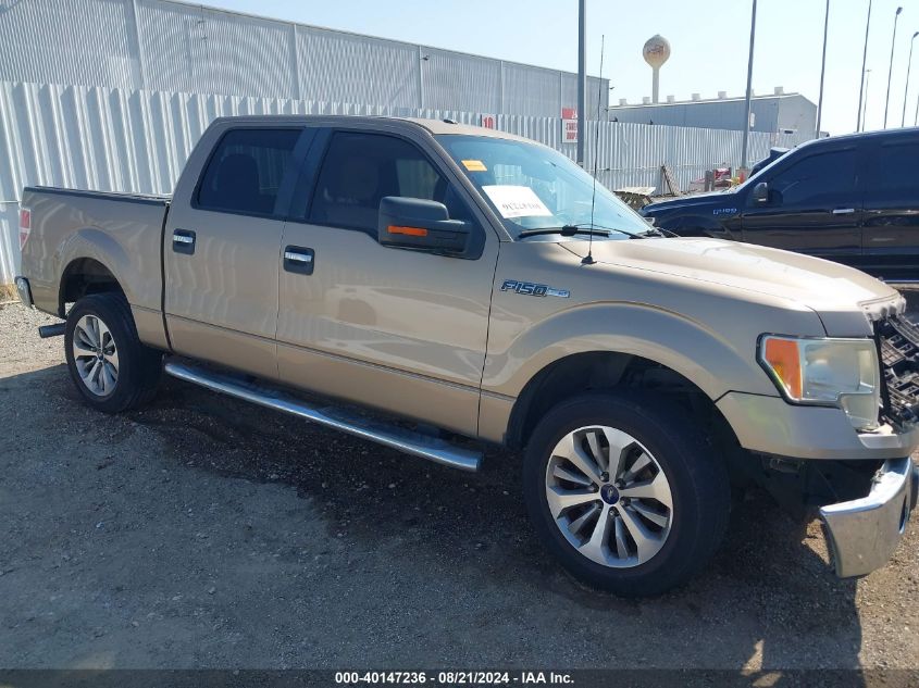 2013 FORD F-150 XLT - 1FTFW1CF2DKF58828