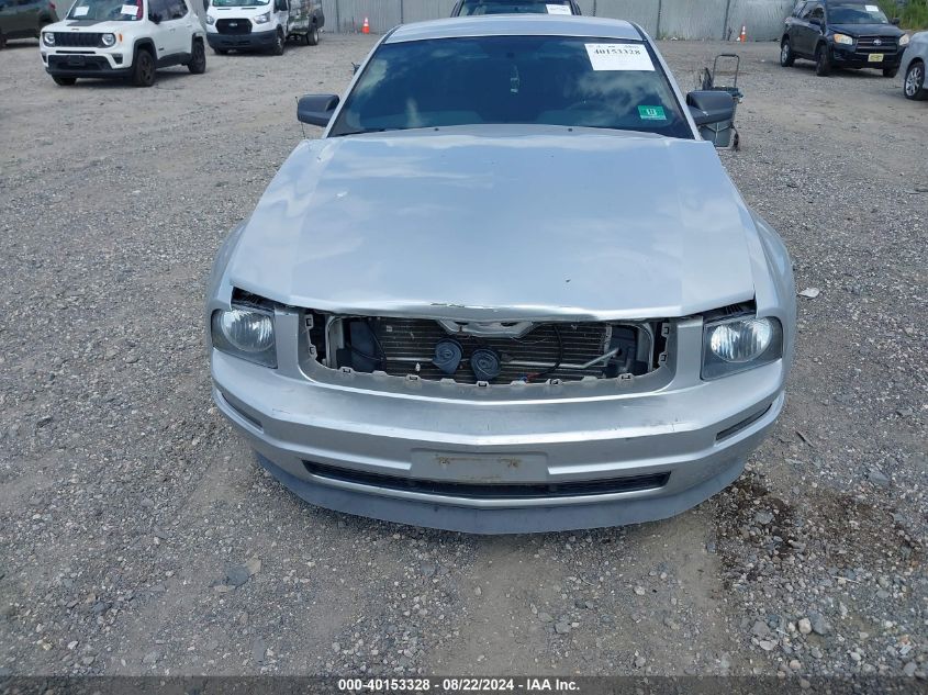 2009 Ford Mustang V6/V6 Premium VIN: 1ZVHT80N795113204 Lot: 40153328