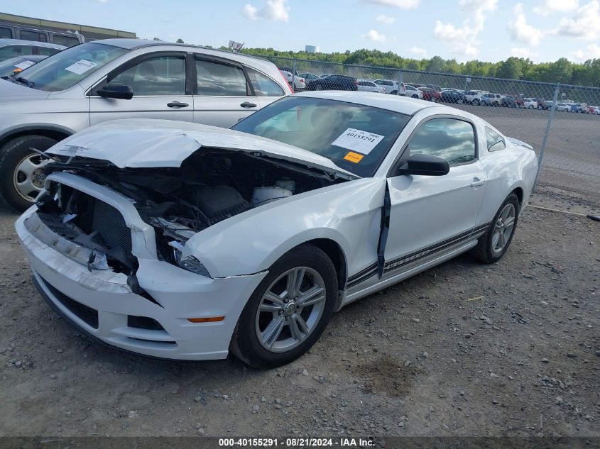 2014 Ford Mustang VIN: 1ZVBP8AM7E5328950 Lot: 40155291