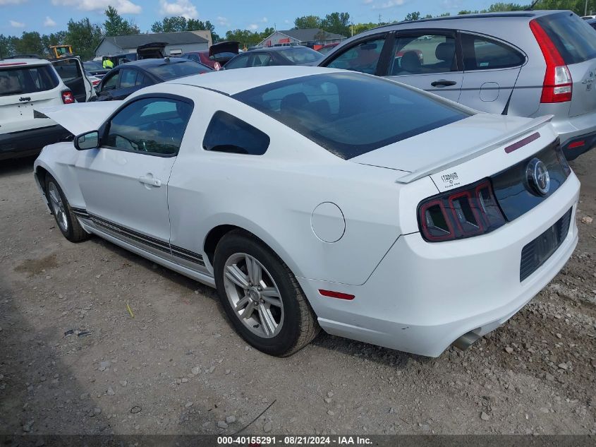 2014 Ford Mustang VIN: 1ZVBP8AM7E5328950 Lot: 40155291