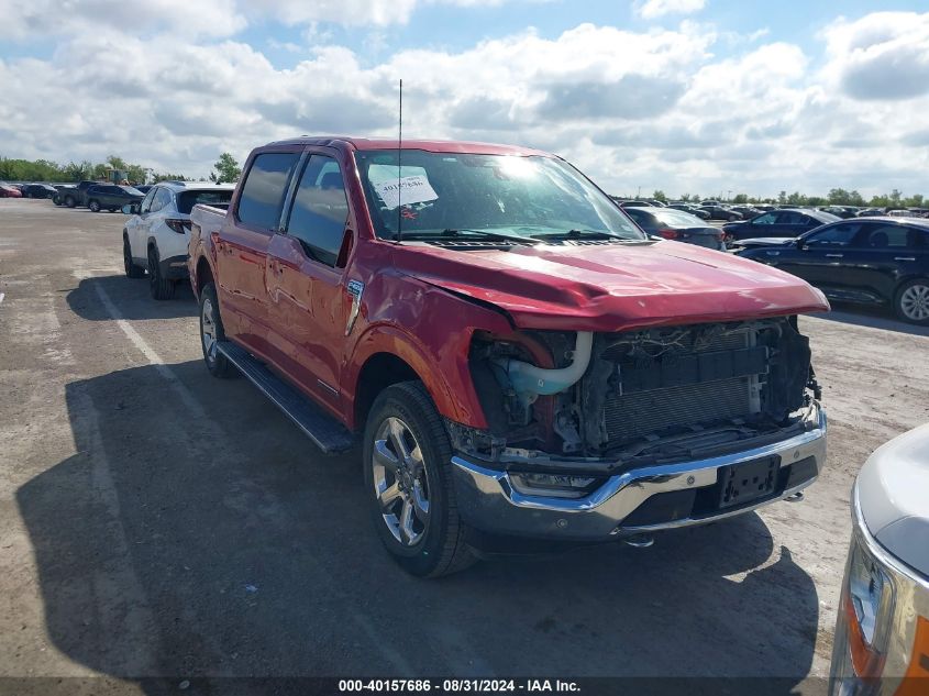 2023 Ford F-150 King Ranch VIN: 1FTFW1ED8PFB62511 Lot: 40157686