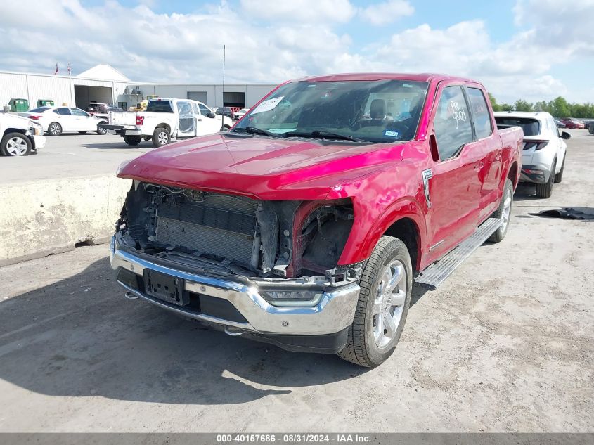 2023 Ford F-150 King Ranch VIN: 1FTFW1ED8PFB62511 Lot: 40157686