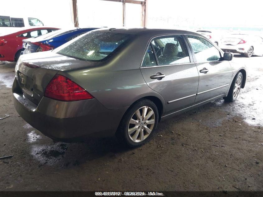 2007 Honda Accord 3.0 Ex VIN: 1HGCM66527A077207 Lot: 40158812