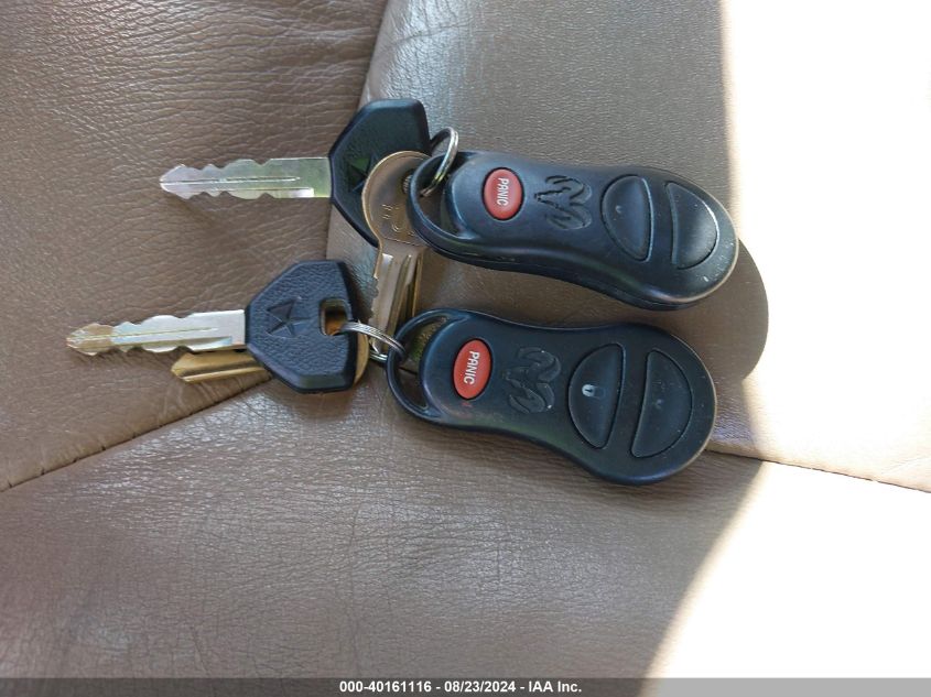 2000 Dodge Durango VIN: 1B4HS28N5YF207675 Lot: 40161116