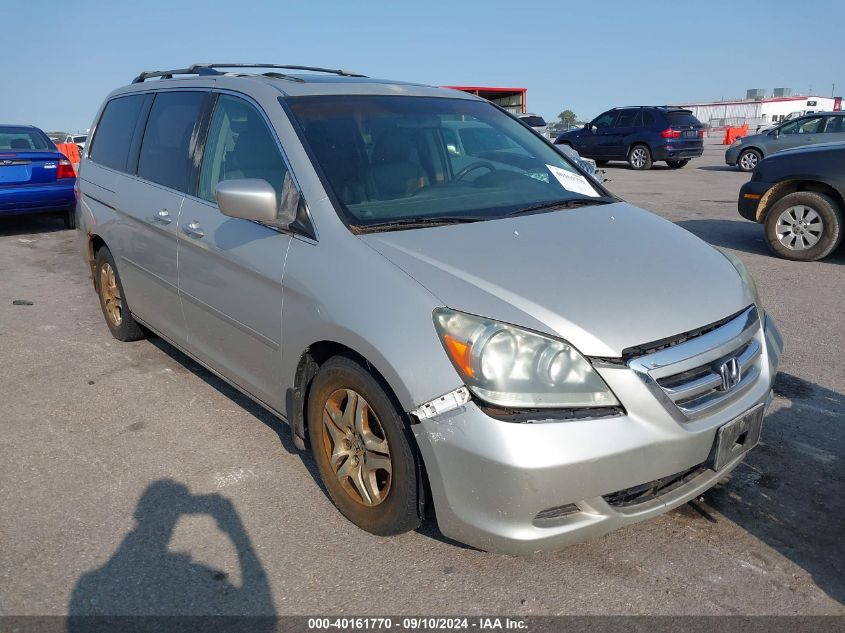 2005 Honda Odyssey Ex-L VIN: 5FNRL38705B124036 Lot: 40161770