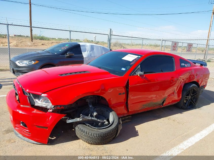 2014 Ford Mustang Gt VIN: 1ZVBP8CF3E5307124 Lot: 40164513