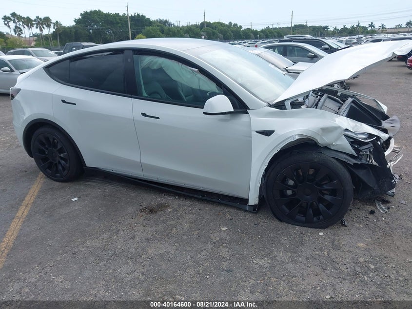 2021 TESLA MODEL Y (VIN: 5YJYGDEE0MF260819)