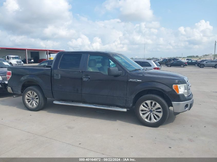 2013 Ford F-150 Xlt VIN: 1FTEW1CM8DKF18778 Lot: 40164972