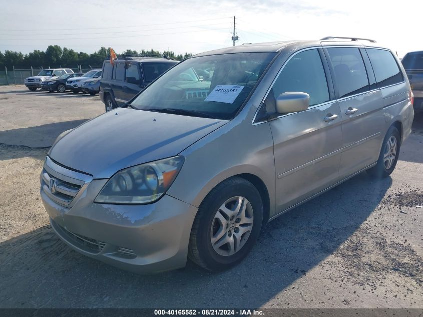 2006 Honda Odyssey Ex-L VIN: 5FNRL38776B039437 Lot: 40165552