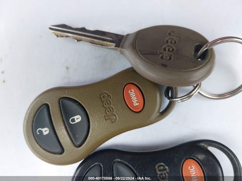 2000 Jeep Grand Cherokee Limited VIN: 1J4GW58N5YC188030 Lot: 40170586