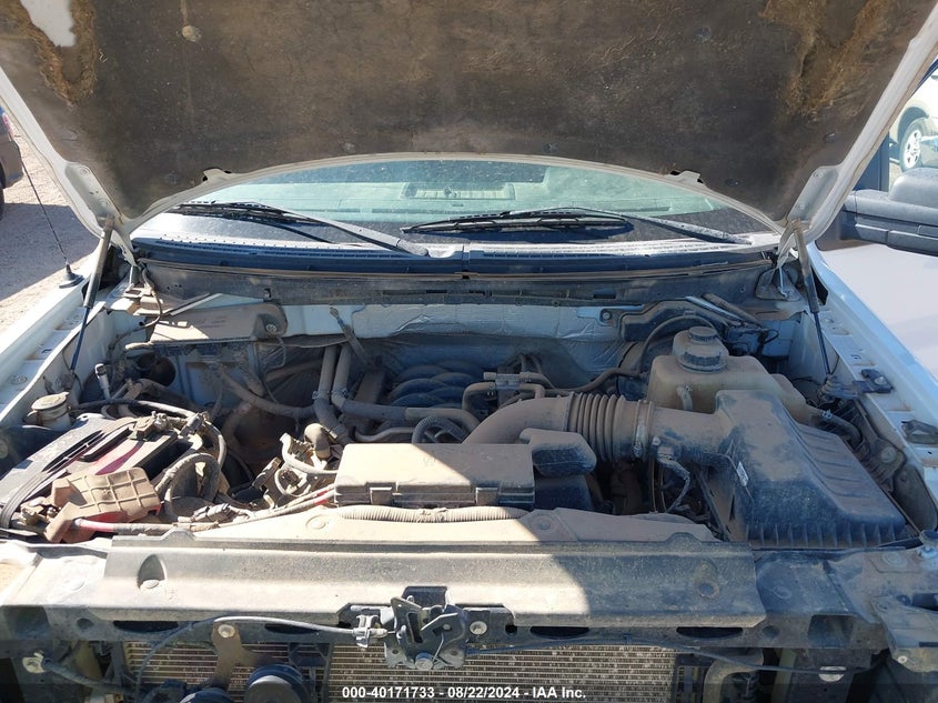 2012 Ford F-150 Xl VIN: 1FTFX1EF6CKD89437 Lot: 40171733