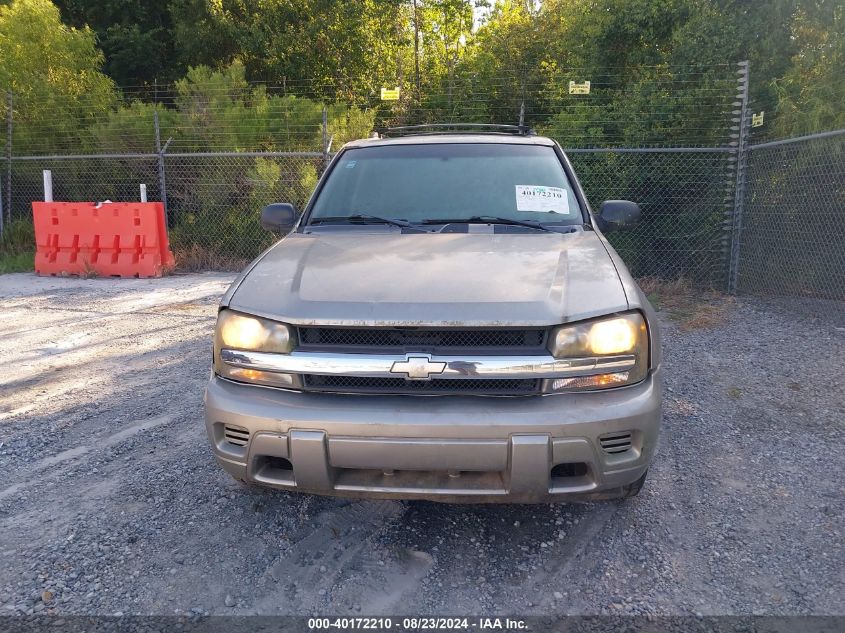 2003 Chevrolet Trailblazer Ls VIN: 1GNDS13S732369484 Lot: 40172210