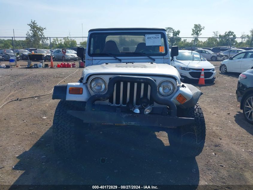 2002 Jeep Wrangler X VIN: 1J4FA39S12P747110 Lot: 40172829