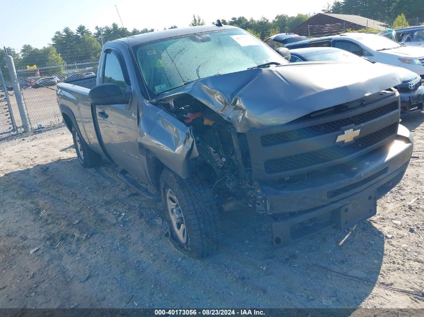 2009 Chevrolet Silverado 1500 Work Truck VIN: 1GCEK14C99Z224225 Lot: 40173056