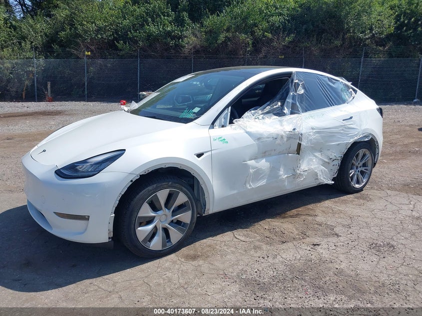 2023 TESLA MODEL Y U   U(VIN: 7SAYGDEE1PF610711
