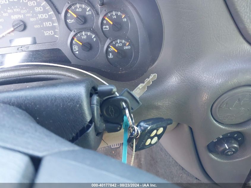 2003 Chevrolet Trailblazer Ls VIN: 1GNDS13S632206048 Lot: 40177842