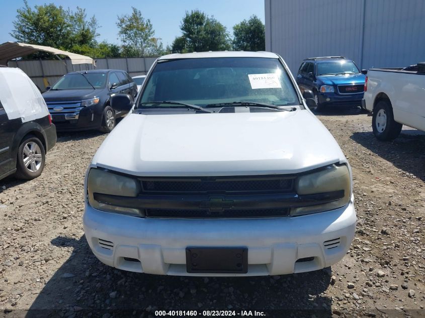 2003 Chevrolet Trailblazer Ls VIN: 1GNDS13S732245702 Lot: 40181460