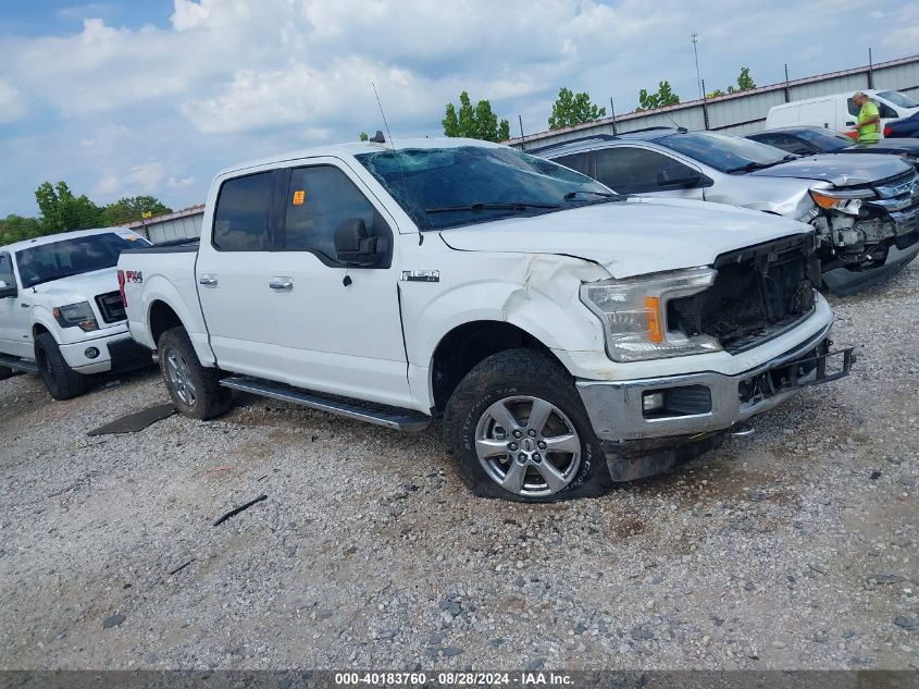 1FTEW1E49KFC29508 2019 FORD F-150 - Image 1