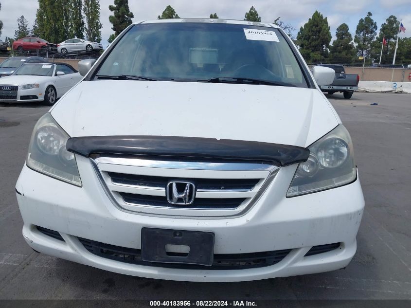 2005 Honda Odyssey Ex-L VIN: 5FNRL38655B414859 Lot: 40183956