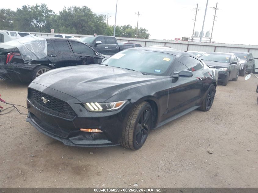 1FA6P8TH8G5262096 2016 FORD MUSTANG - Image 2