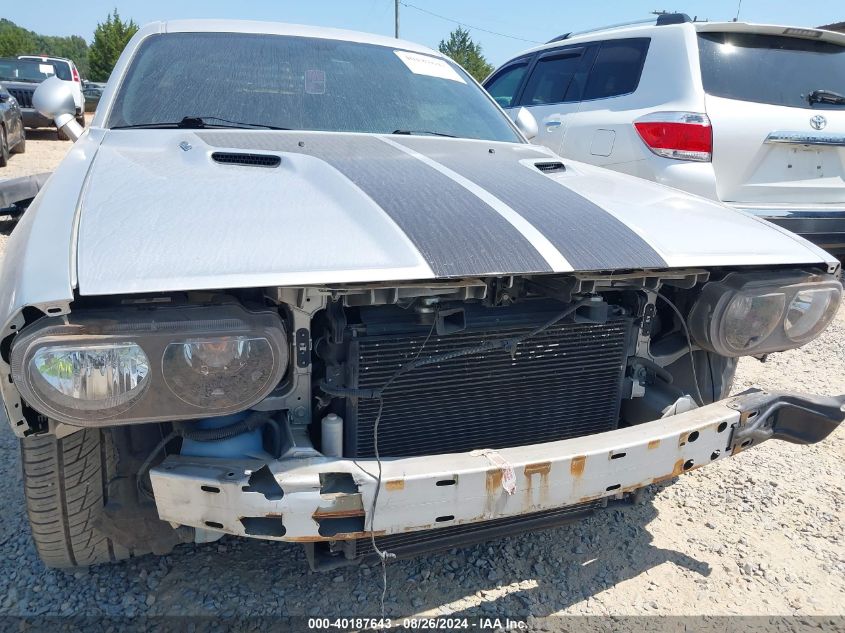 2010 Dodge Challenger R/T VIN: 2B3CJ5DT5AH300594 Lot: 40187643