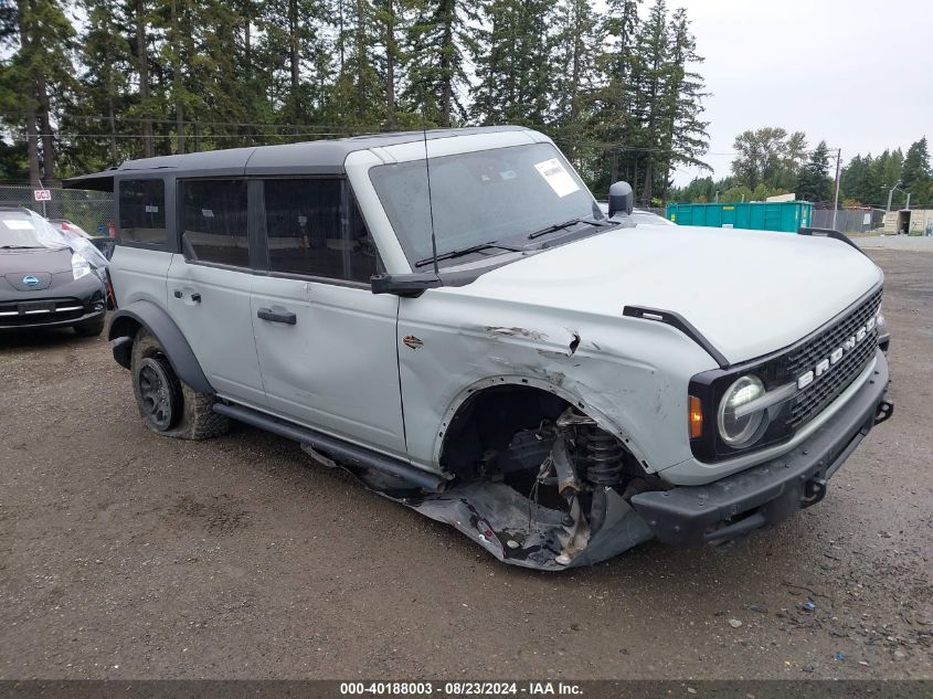 2023 FORD BRONCO  (VIN: 1FMEE5DP4PLA87840)