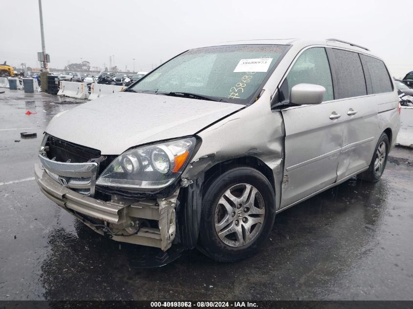 2006 Honda Odyssey Ex-L VIN: 5FNRL38776B437568 Lot: 40193062